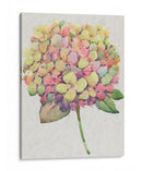 Multicolor Floral Ii - Tim OToole | Cuadro decorativo de Canvas Lab