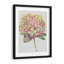 Multicolor Floral Ii - Tim OToole | Cuadro decorativo de Canvas Lab