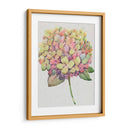 Multicolor Floral Ii - Tim OToole | Cuadro decorativo de Canvas Lab