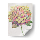 Multicolor Floral Ii - Tim OToole | Cuadro decorativo de Canvas Lab