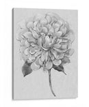 Silvertone Floral I - Tim OToole | Cuadro decorativo de Canvas Lab