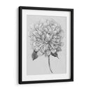 Silvertone Floral I - Tim OToole | Cuadro decorativo de Canvas Lab