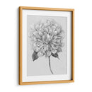 Silvertone Floral I - Tim OToole | Cuadro decorativo de Canvas Lab
