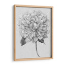 Silvertone Floral I - Tim OToole | Cuadro decorativo de Canvas Lab