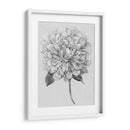Silvertone Floral I - Tim OToole | Cuadro decorativo de Canvas Lab