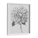 Silvertone Floral I - Tim OToole | Cuadro decorativo de Canvas Lab