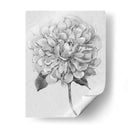 Silvertone Floral I - Tim OToole | Cuadro decorativo de Canvas Lab