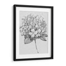 Silvertone Floral Ii - Tim OToole | Cuadro decorativo de Canvas Lab