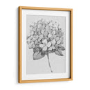 Silvertone Floral Ii - Tim OToole | Cuadro decorativo de Canvas Lab
