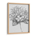 Silvertone Floral Ii - Tim OToole | Cuadro decorativo de Canvas Lab