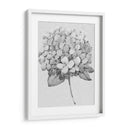 Silvertone Floral Ii - Tim OToole | Cuadro decorativo de Canvas Lab