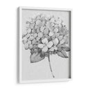 Silvertone Floral Ii - Tim OToole | Cuadro decorativo de Canvas Lab