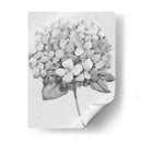 Silvertone Floral Ii - Tim OToole | Cuadro decorativo de Canvas Lab