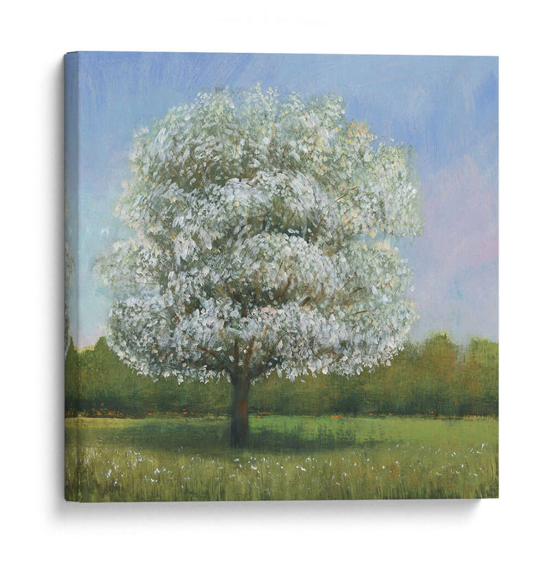 Árbol De Flores De Primavera I - Tim OToole | Cuadro decorativo de Canvas Lab