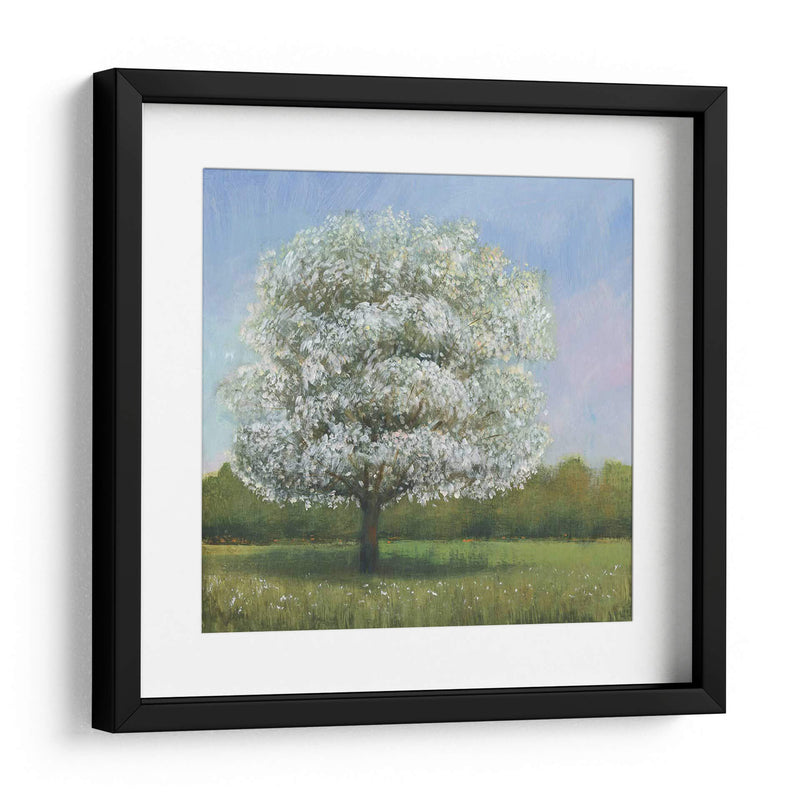 Árbol De Flores De Primavera I - Tim OToole | Cuadro decorativo de Canvas Lab