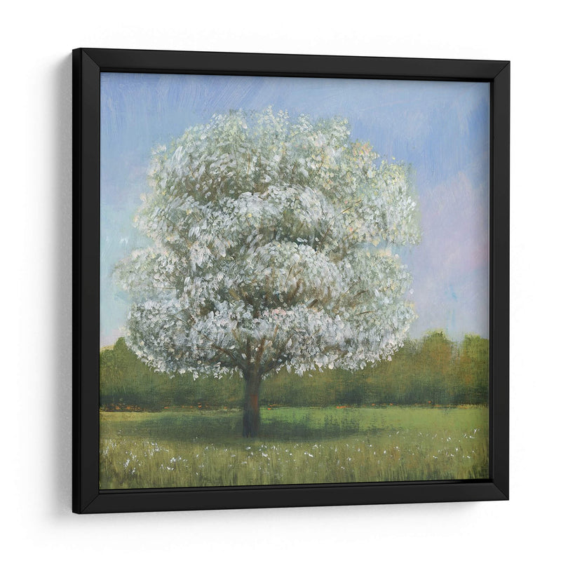 Árbol De Flores De Primavera I - Tim OToole | Cuadro decorativo de Canvas Lab