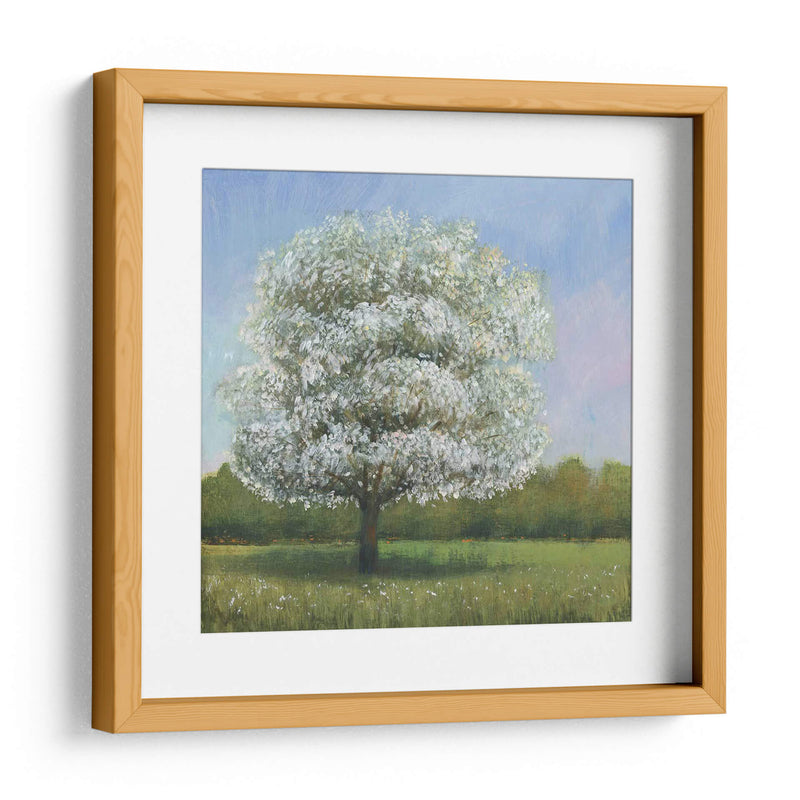 Árbol De Flores De Primavera I - Tim OToole | Cuadro decorativo de Canvas Lab