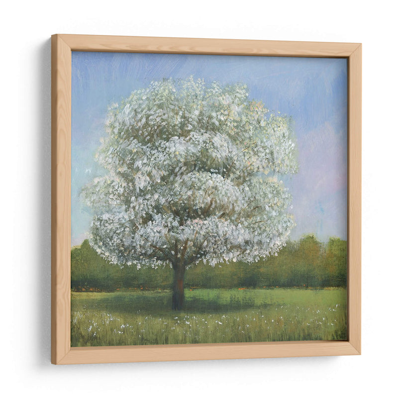 Árbol De Flores De Primavera I - Tim OToole | Cuadro decorativo de Canvas Lab