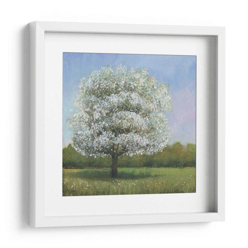 Árbol De Flores De Primavera I - Tim OToole | Cuadro decorativo de Canvas Lab