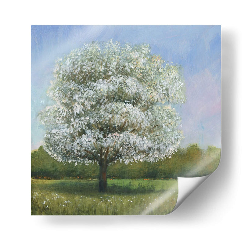 Árbol De Flores De Primavera I - Tim OToole | Cuadro decorativo de Canvas Lab