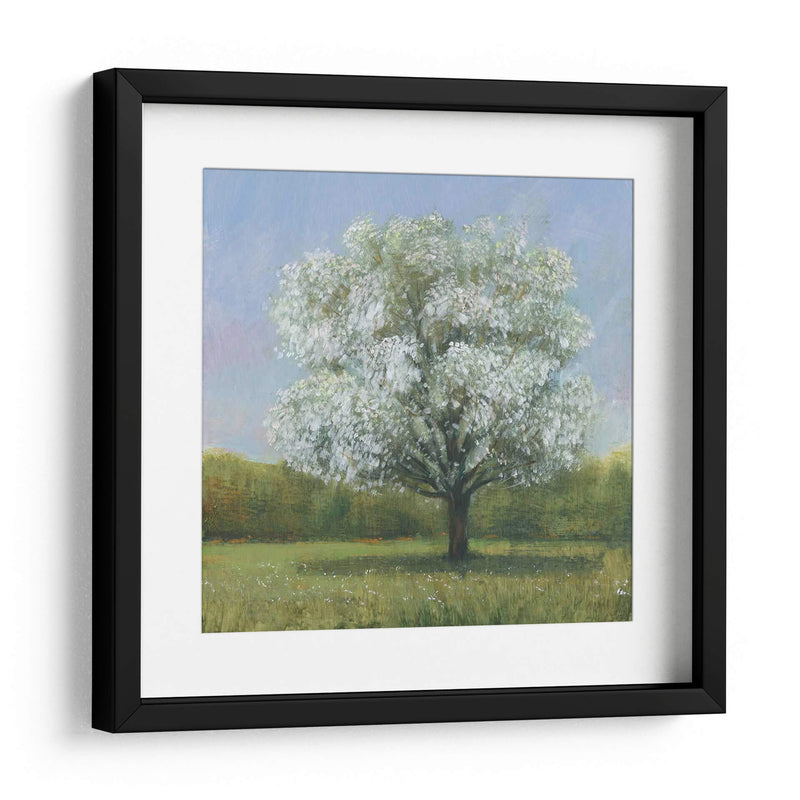 Spring Blossom Tree Ii - Tim OToole | Cuadro decorativo de Canvas Lab