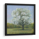 Spring Blossom Tree Ii - Tim OToole | Cuadro decorativo de Canvas Lab