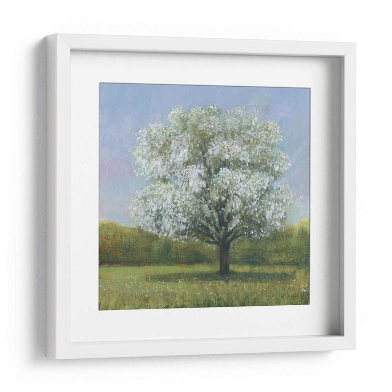 Spring Blossom Tree Ii - Tim OToole | Cuadro decorativo de Canvas Lab