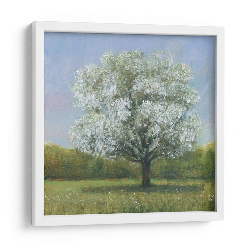 Spring Blossom Tree Ii - Tim OToole | Cuadro decorativo de Canvas Lab