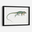 Camaleón Antiguo | Cuadro decorativo de Canvas Lab