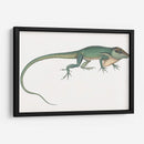 Camaleón Antiguo | Cuadro decorativo de Canvas Lab