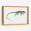 Camaleón Antiguo | Cuadro decorativo de Canvas Lab