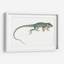 Camaleón Antiguo | Cuadro decorativo de Canvas Lab