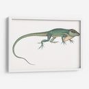 Camaleón Antiguo | Cuadro decorativo de Canvas Lab