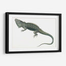 Iguana Antigua | Cuadro decorativo de Canvas Lab