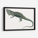 Iguana Antigua | Cuadro decorativo de Canvas Lab