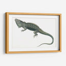 Iguana Antigua | Cuadro decorativo de Canvas Lab