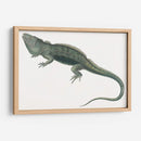 Iguana Antigua | Cuadro decorativo de Canvas Lab