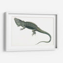 Iguana Antigua | Cuadro decorativo de Canvas Lab