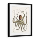 Colección De Octopos Antigua I | Cuadro decorativo de Canvas Lab