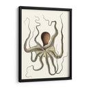 Colección De Octopos Antigua I | Cuadro decorativo de Canvas Lab