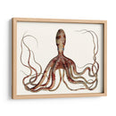 Colección De Octopus Antiguo Ii | Cuadro decorativo de Canvas Lab