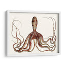Colección De Octopus Antiguo Ii | Cuadro decorativo de Canvas Lab