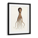 Colección De Octopos Antiguos Iii | Cuadro decorativo de Canvas Lab