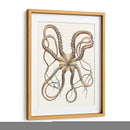 Colección De Octopos Antigua Iv | Cuadro decorativo de Canvas Lab