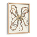 Colección De Octopos Antigua Iv | Cuadro decorativo de Canvas Lab