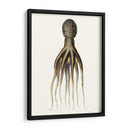 Colección De Octopos Antigua V | Cuadro decorativo de Canvas Lab