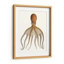 Colección De Octopos Antigua Vi | Cuadro decorativo de Canvas Lab