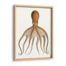 Colección De Octopos Antigua Vi | Cuadro decorativo de Canvas Lab