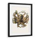 Colección De Octopos Antigua Vii | Cuadro decorativo de Canvas Lab