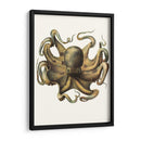 Colección De Octopos Antigua Vii | Cuadro decorativo de Canvas Lab
